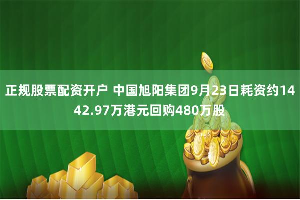 正规股票配资开户 中国旭阳集团9月23日耗资约1442.97万港元回购480万股