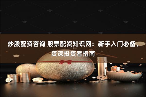 炒股配资咨询 股票配资知识网：新手入门必备，资深投资者指南